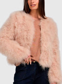 Carlo Jacket - Champagne