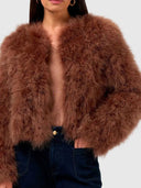 Carlo Jacket - Cocoa